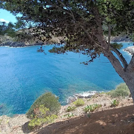 Location Vacances, Restriction Un Minimum De 7 Nuits Apartment Cerbere